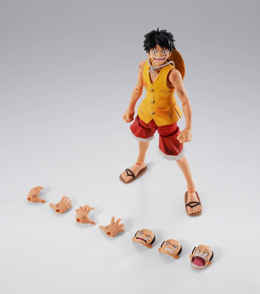 Monkey D. Luffy MarineFord