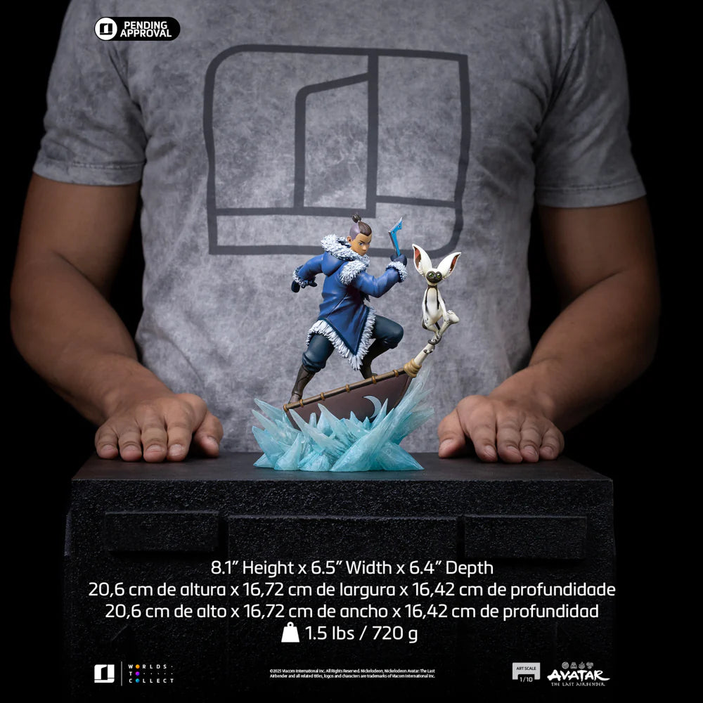 Sokka - Avatar: The Last Airbender - Art Scale 1/10