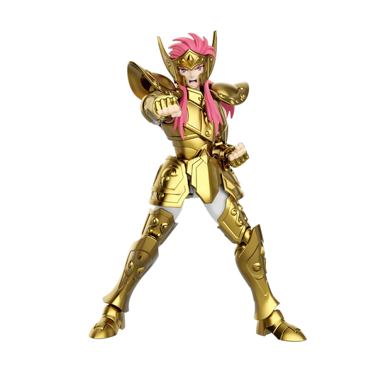 Saint Seiya Champion Class Aquarius Camus Model Kit