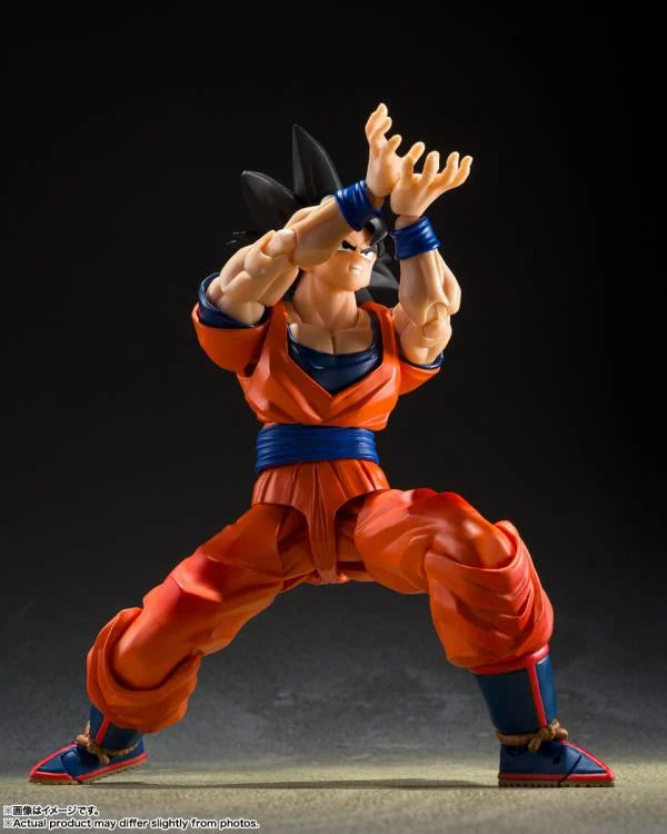 Dragon Ball Z SH Figuarts Son Goku Kind hearted Saiyan