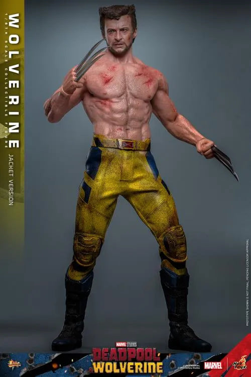 Deadpool y Wolverine MMS756 Wolverine Jacket Ver 1/6th Scale