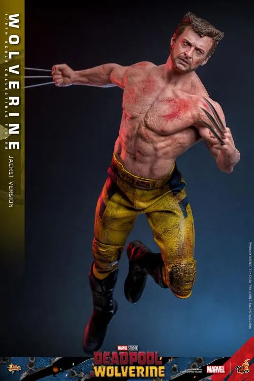Deadpool y Wolverine MMS756 Wolverine Jacket Ver 1/6th Scale