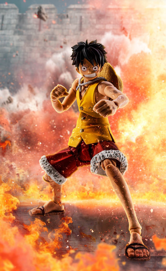 Monkey D. Luffy MarineFord